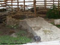 Imagine atasata: Reabilitare centru - 2015.08.20 - 12.jpg